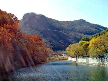 澳门二四六天天彩图库，死神目录